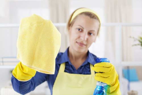 Rug cleaning in a bright living room