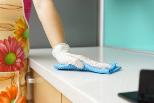 Person vacuuming a mattress for cleaning