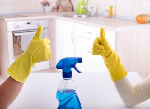 Detailed deep cleaning workflow in progress