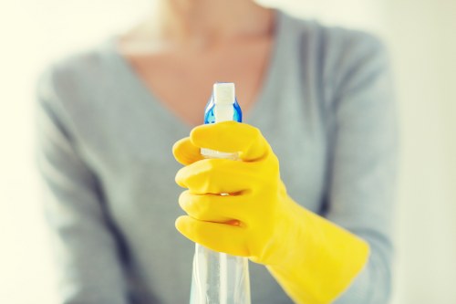 Cleaning supplies and routine house cleaning tools