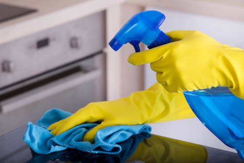 Professional carpet cleaning in a living room