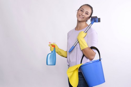 Deep cleaning bathroom tiles and fixtures
