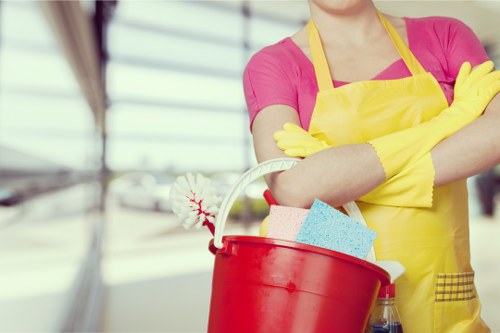 Professional upholstery cleaning equipment for fabric sofas
