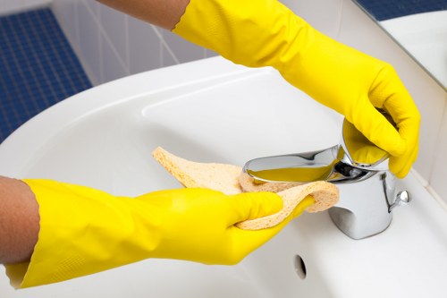DIY oven cleaning supplies on a countertop
